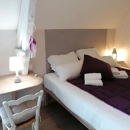 Grande Maison En Pierre Avec Plan D'eau, Jardin Cloture, Cheminee, Et Activites De Plein Air - Fr-1-600-159 Brece (Mayenne)