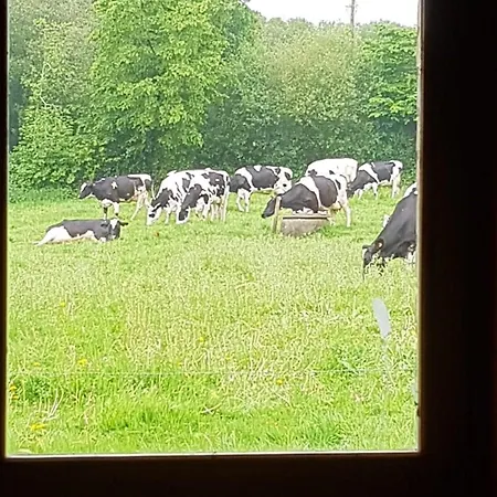 Grande Maison En Pierre Avec Plan D'eau, Jardin Cloture, Cheminee, Et Activites De Plein Air - Fr-1-600-159