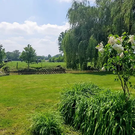 Holiday home Grande Maison En Pierre Avec Plan D'eau, Jardin Cloture, Cheminee, Et Activites De Plein Air - Fr-1-600-159